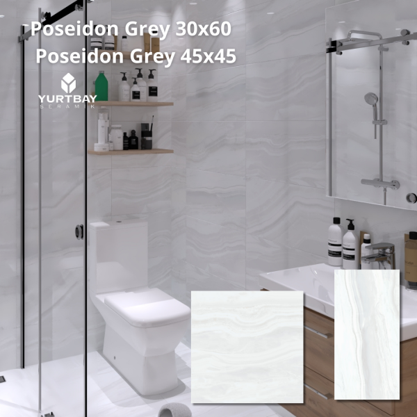 Poseidon Grey 30x60