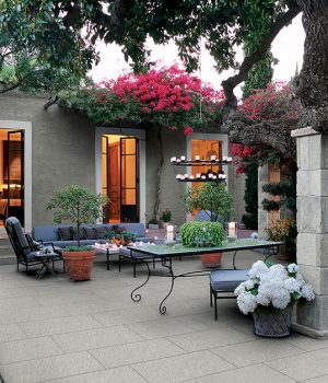 View of backyard illuminated with armchair and plant pot